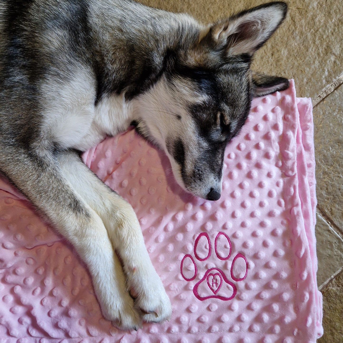 Personalised Dog Paw Blanket